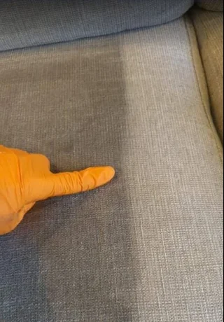 best upholstery cleaning