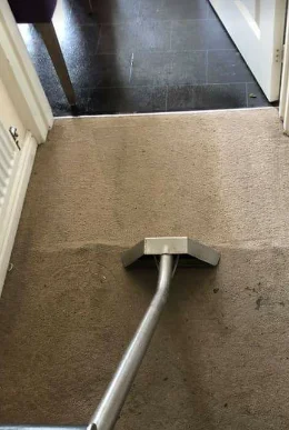 best Carpet Cleaning